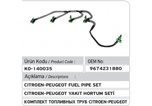 9844585580 9674231880 PEUGEOT 5008 3008 308 508  CITROEN C4 C5 DS5 DS4 Yakıt Hortum Seti 